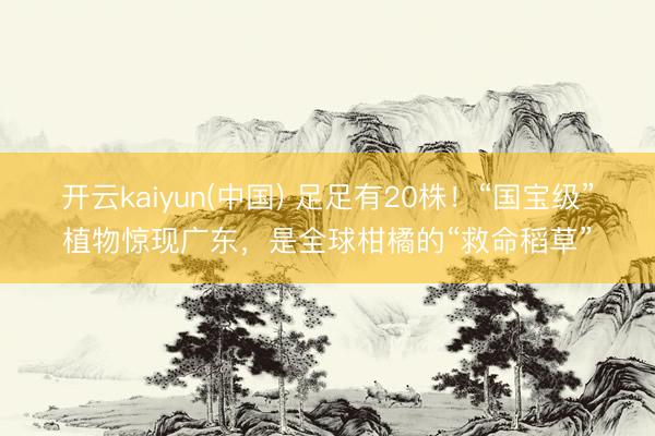 开云kaiyun(中国) 足足有20株！“国宝级”植物惊现广东，是全球柑橘的“救命稻草”
