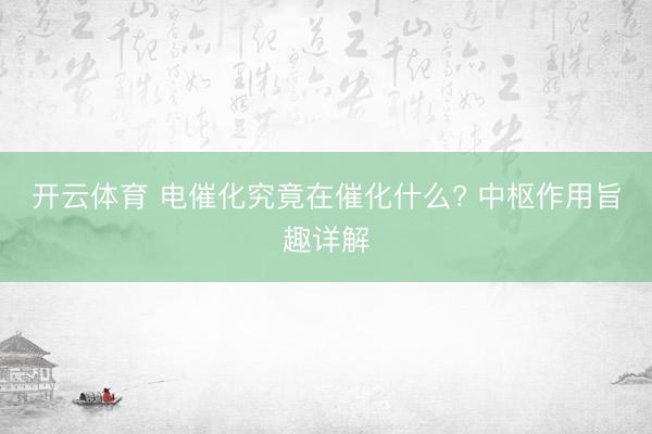 开云体育 电催化究竟在催化什么? 中枢作用旨趣详解