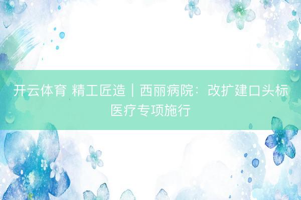 开云体育 精工匠造｜西丽病院：改扩建口头标医疗专项施行