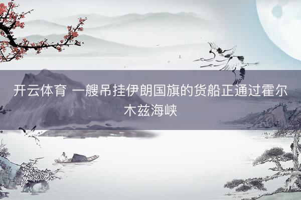 开云体育 一艘吊挂伊朗国旗的货船正通过霍尔木兹海峡