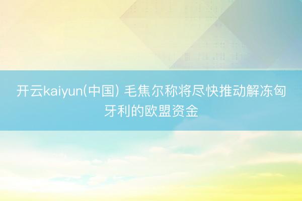 开云kaiyun(中国) 毛焦尔称将尽快推动解冻匈牙利的欧盟资金