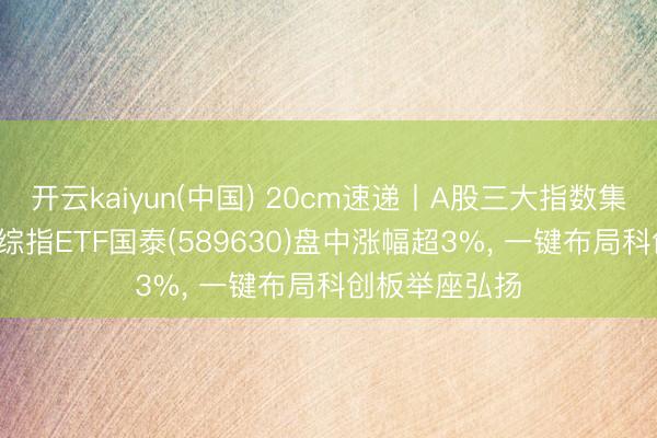 开云kaiyun(中国) 20cm速递丨A股三大指数集体上升， 科创综指ETF国泰(589630)盘中涨幅超3%， 一键布局科创板举座弘扬